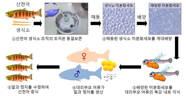 [국립생물자원관 제공]