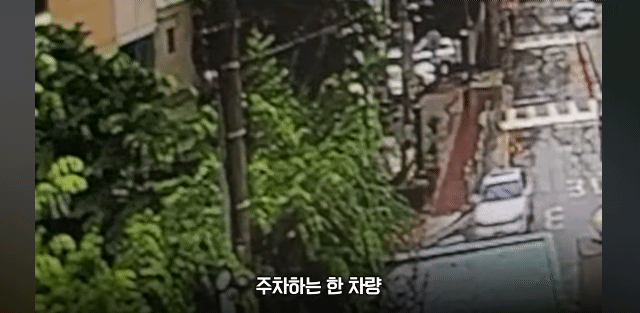 [서울경찰 페이스북 영상 갈무리]
