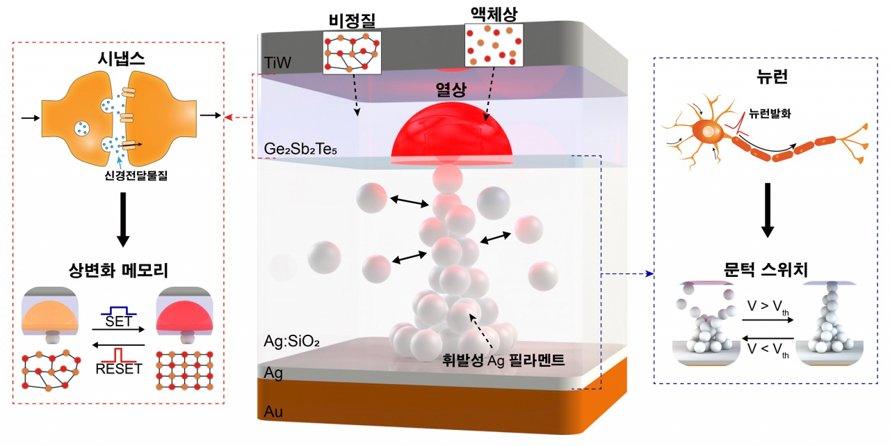 뉴런과 시냅스를 동시에 모사하는 뉴로모픽 소자.[KAIST 제공]