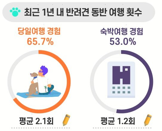 반려견 동반여행 횟수