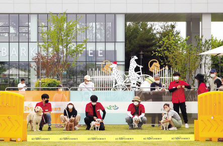 오산반려동물테마파크. 매주 토요일 반려견 스포츠경기인 댕댕이 월드컵이 열린다.