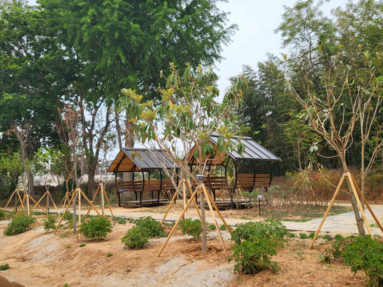 산이서초등학교 헉교 숲