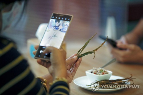 태국 대마 합법화 [EPA 연합뉴스 자료사진]