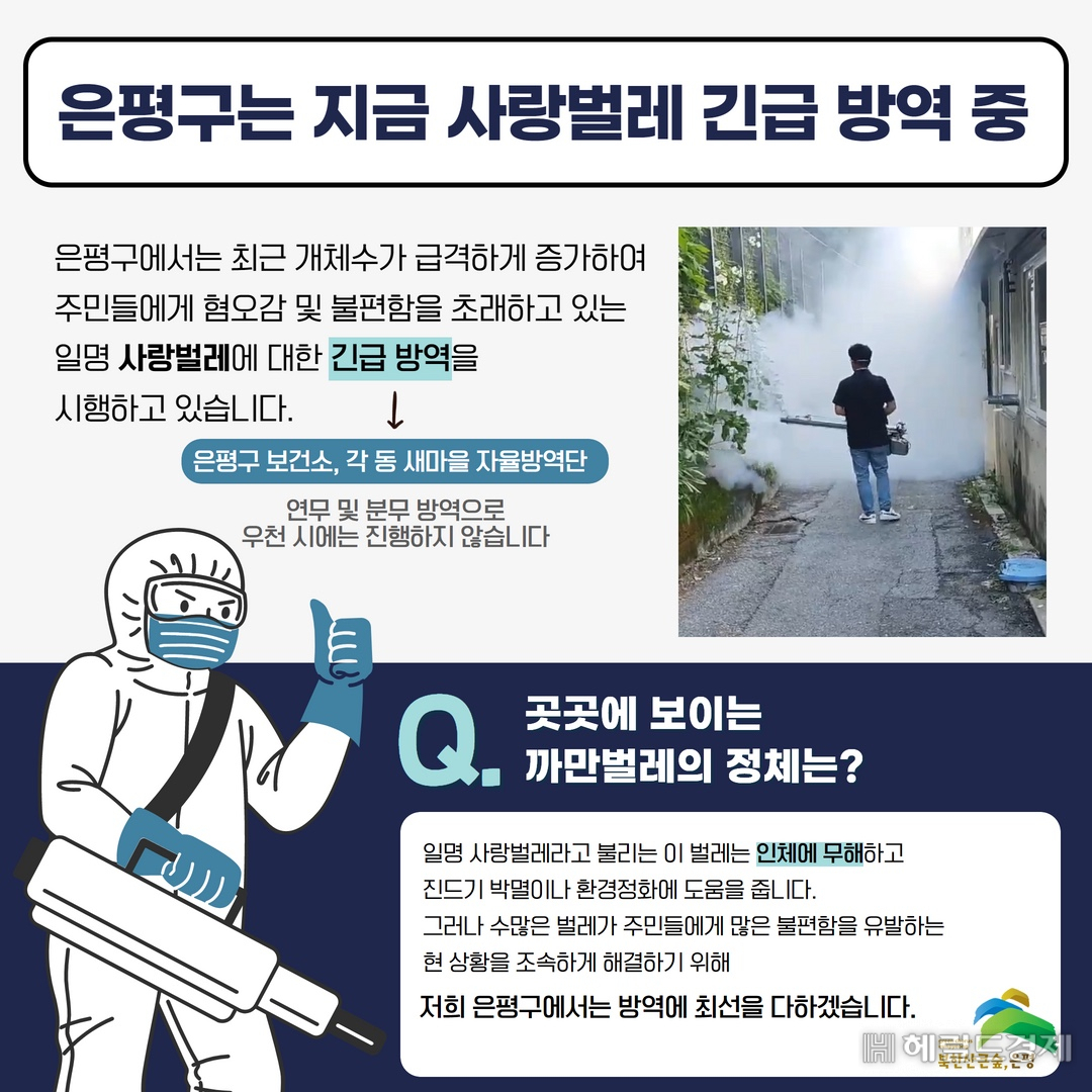 은평구 사랑벌레 긴급 방역 홍보 포스터. [은평구 제공]