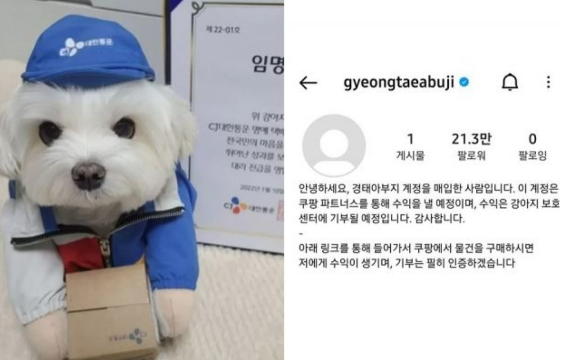 반려견 ‘경태’(왼쪽)과 ‘경태아부지’ 사회관계망서비스(SNS) 계정 [인스타그램]