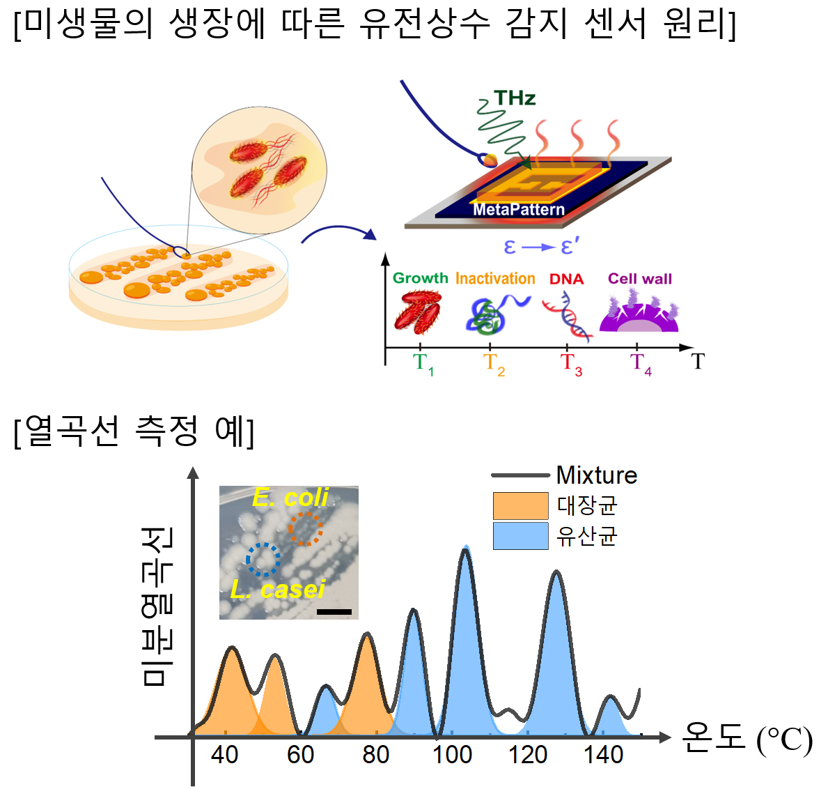 열곡선센서[아주대 제공]