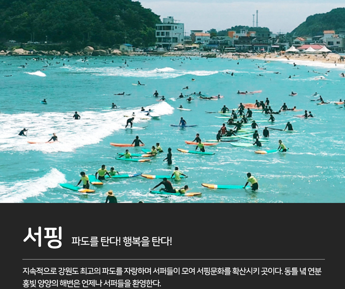 [양양군 홈페이지 캡처]