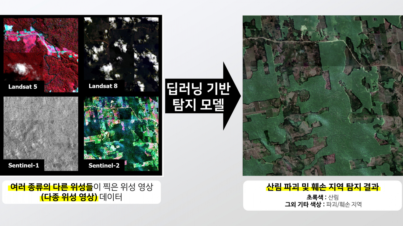 다종 위성영상을 활용한 산림벌채 탐지 결과.[한국항공우주연구원 제공]