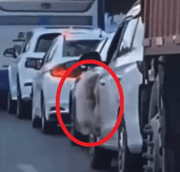 [온라인 커뮤니티]