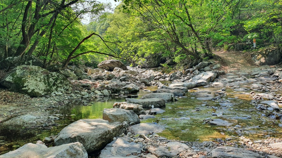 경기둘레길[경기도 제공]