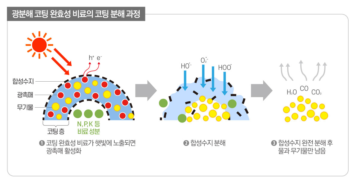 광분해 완효성 비료의 코팅 분해 과정 [팜한농 제공]
