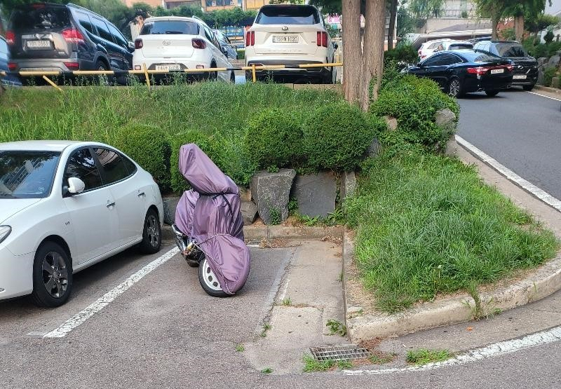 [보배드림]