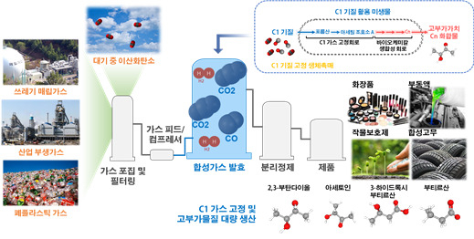 C1 가스 바이오-리파이너리 개요.[KAIST 제공]