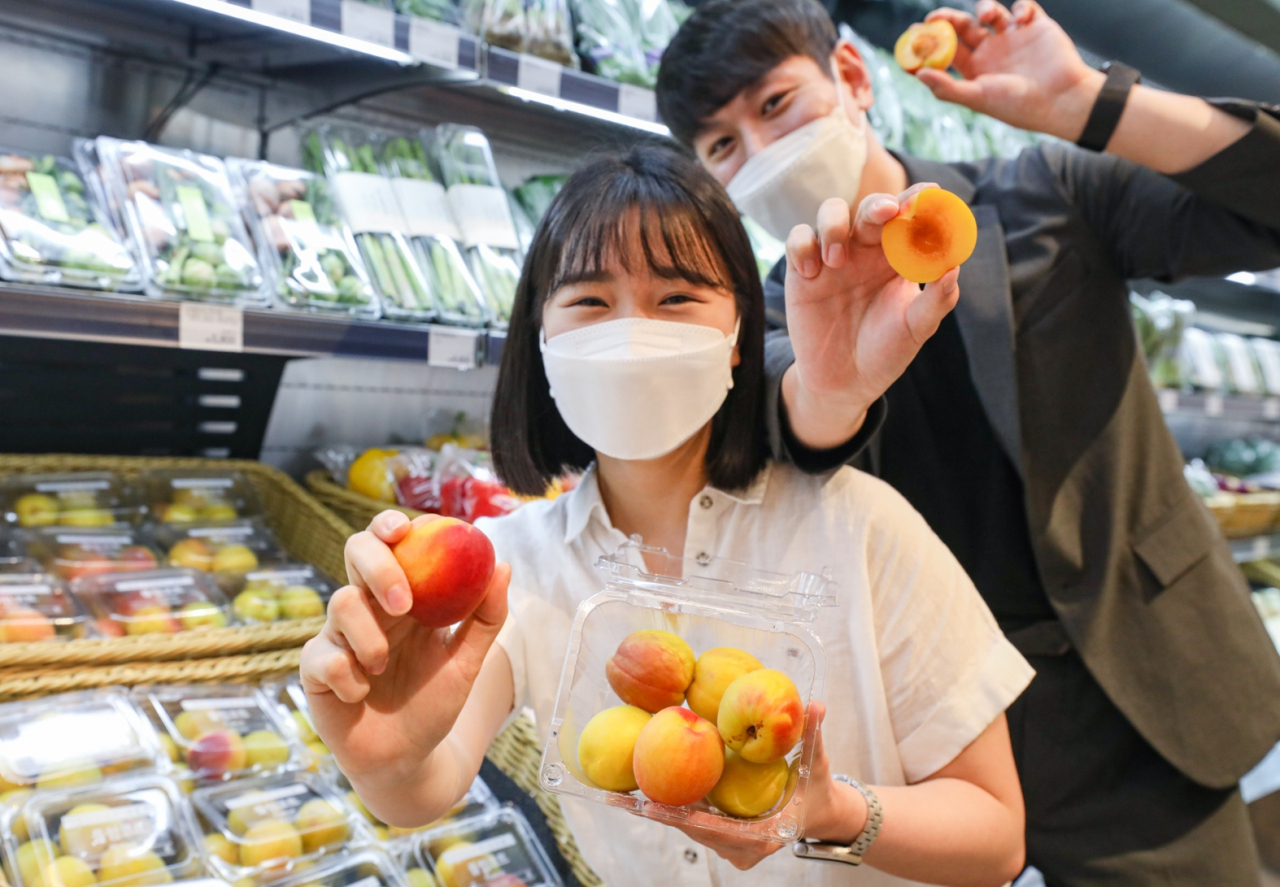서울시 영등포구 현대백화점 더현대 서울 지하1층 식품관에서 직원들이 '하모니 플럼코트'를 소개하고 있는 모습.[현대백화점 제공]