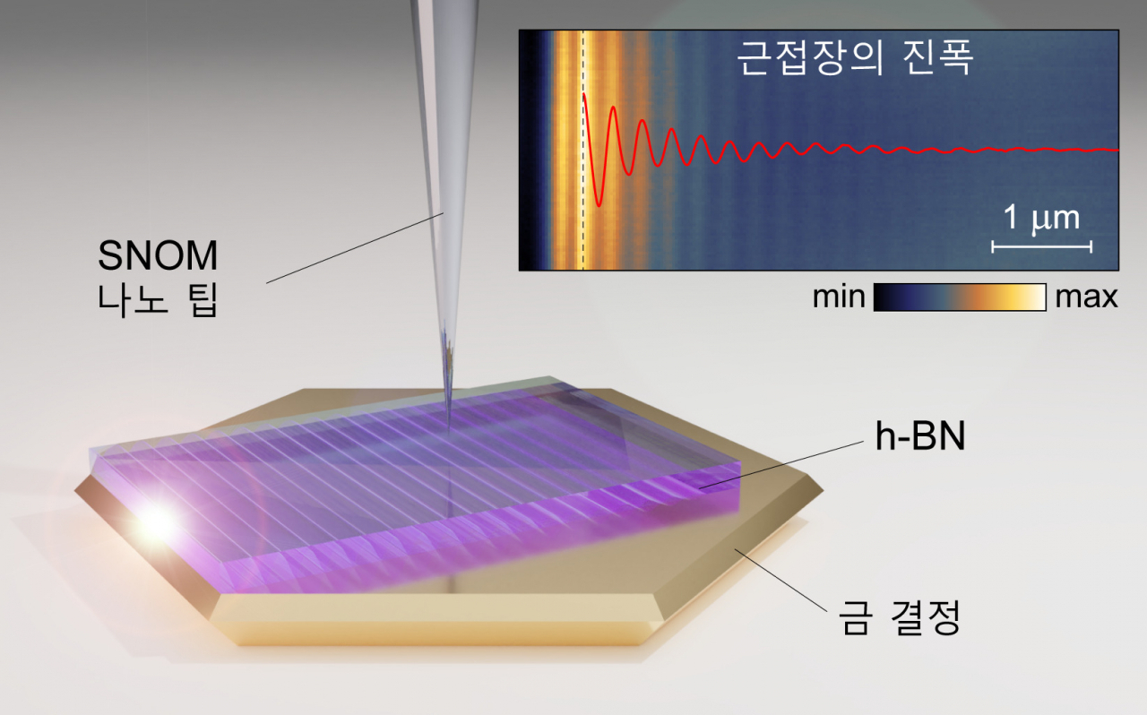 육각형 질화붕소에 진행하는 영상 포논-폴라리톤을 초고화질로 측정하기 위해 사용되는 나노 팁.[KAIST 제공]