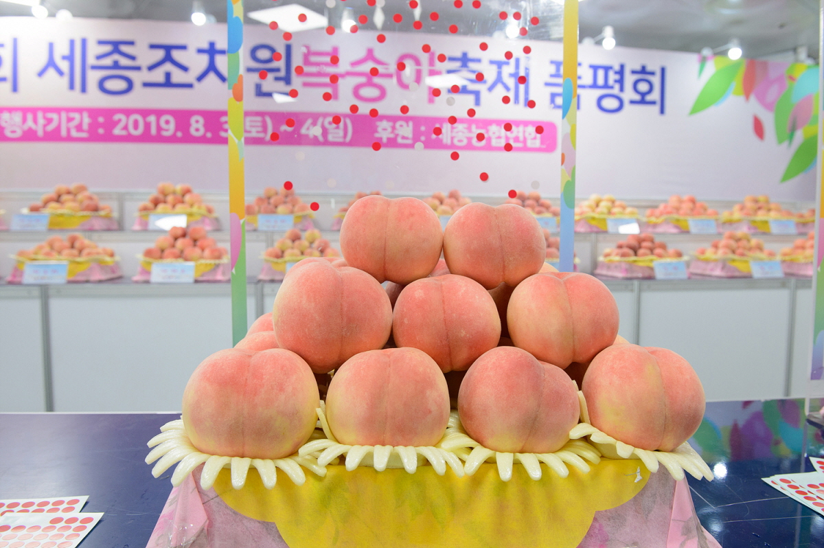 세종시 복숭아 자료사진. [세종시]