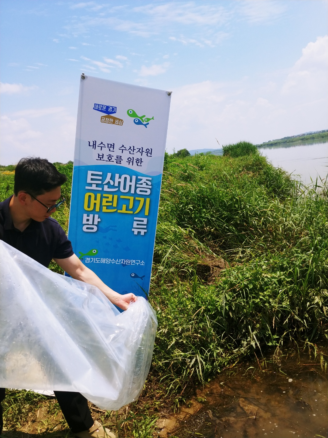 쏘가리 치어 방류[경기도 제공]