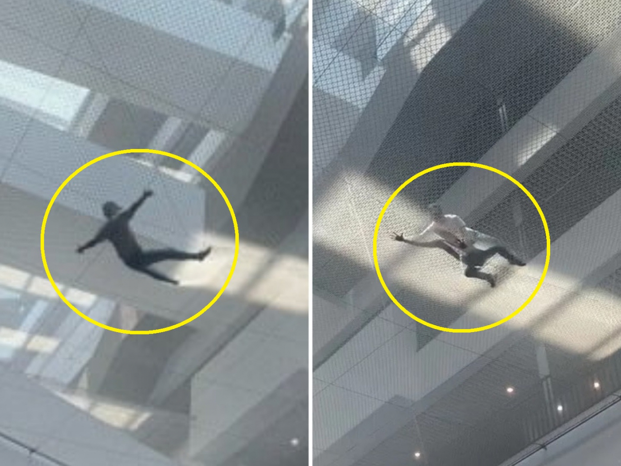 [온라인 커뮤니티]