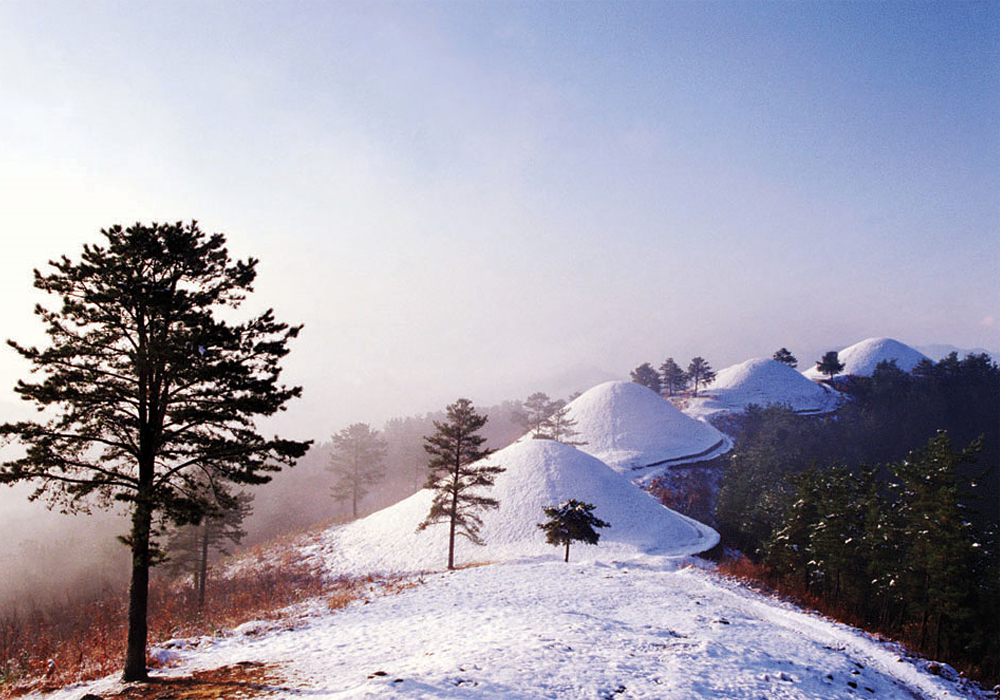 고령 지산동 고분군 전경.[경북문화관광공사 제공]