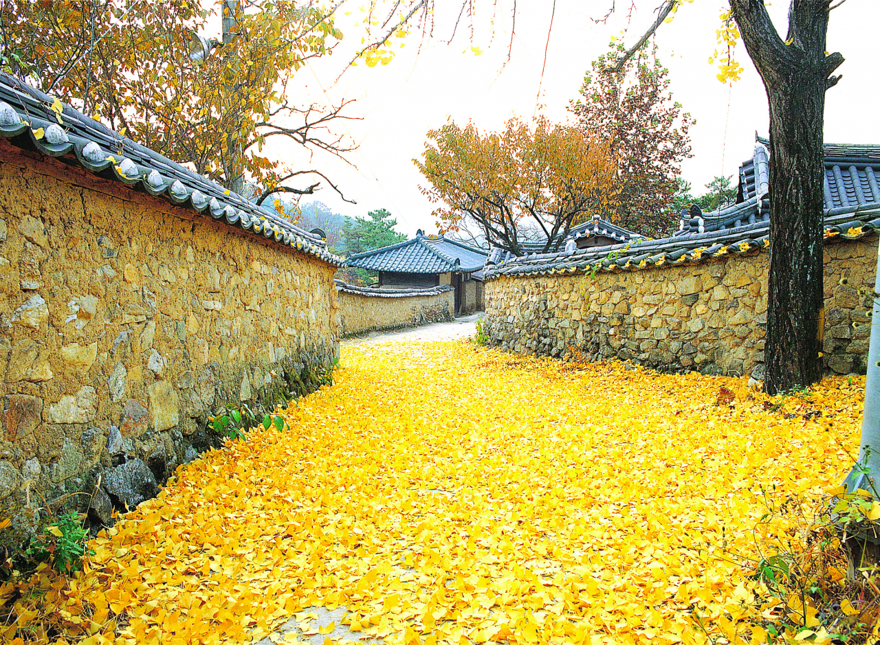 성주 한개마을 전경.[경북문화관광공사 제공]