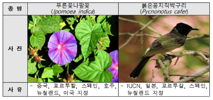 [환경부 제공]