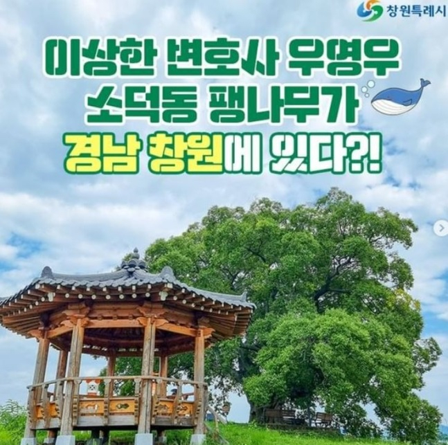 [창원시]