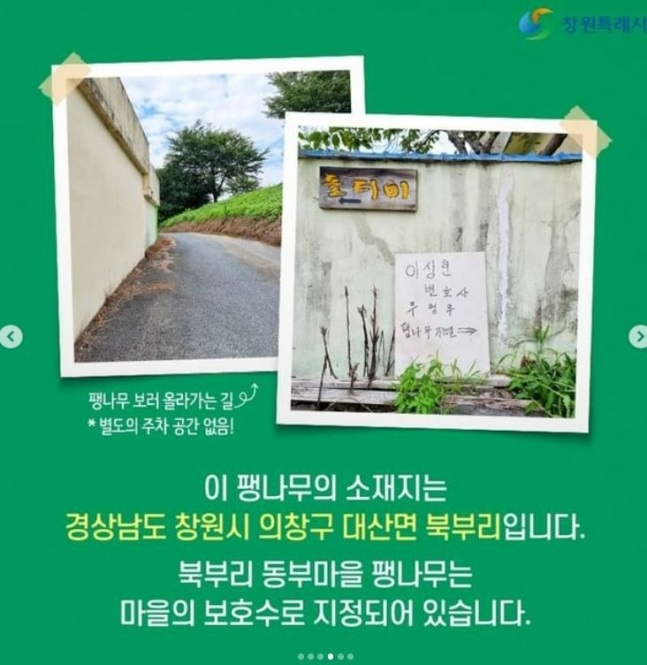 [창원시]