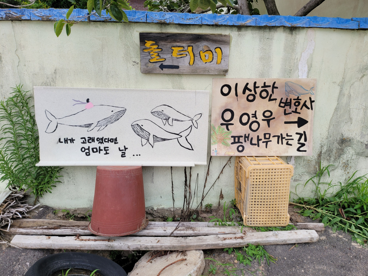 북부리 마을엔 벌써 팽나무 가는 팻말도 등장했다.