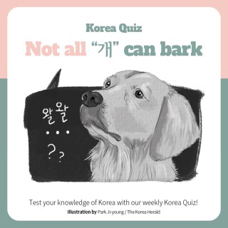 Not all “개” can bark