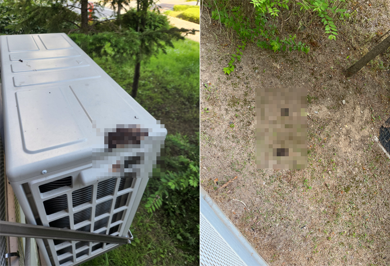 [온라인 커뮤니티 ‘네이트판’ 캡처]