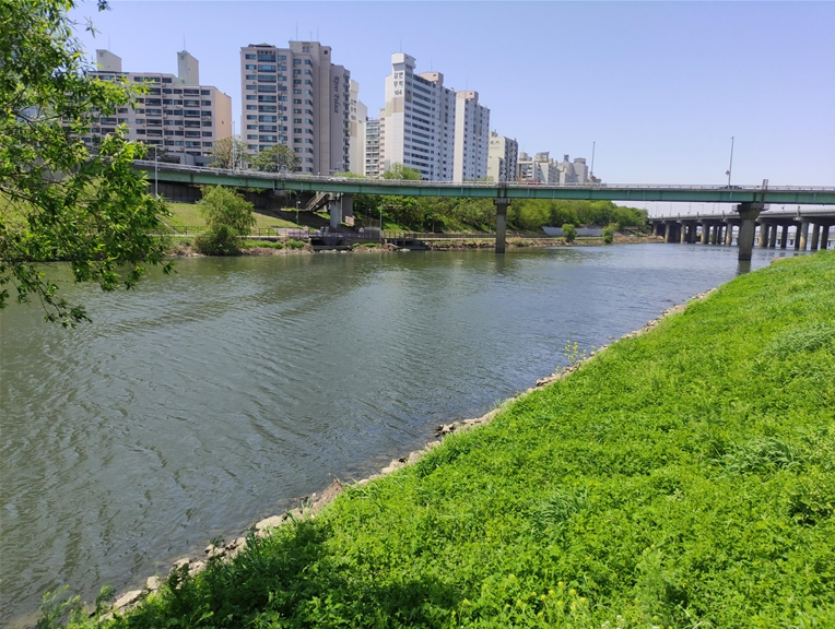 하절기 환경오염행위 특별단속. [영등포구 제공]