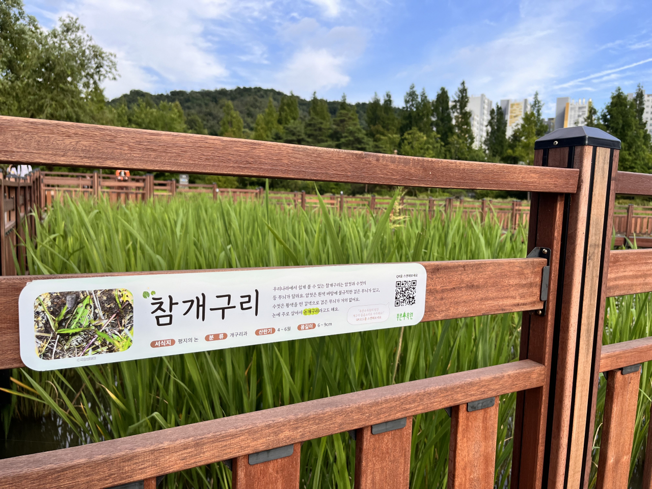 푸른수목원에 설치된 참개구리 생태안내판. [푸른수목원 제공]
