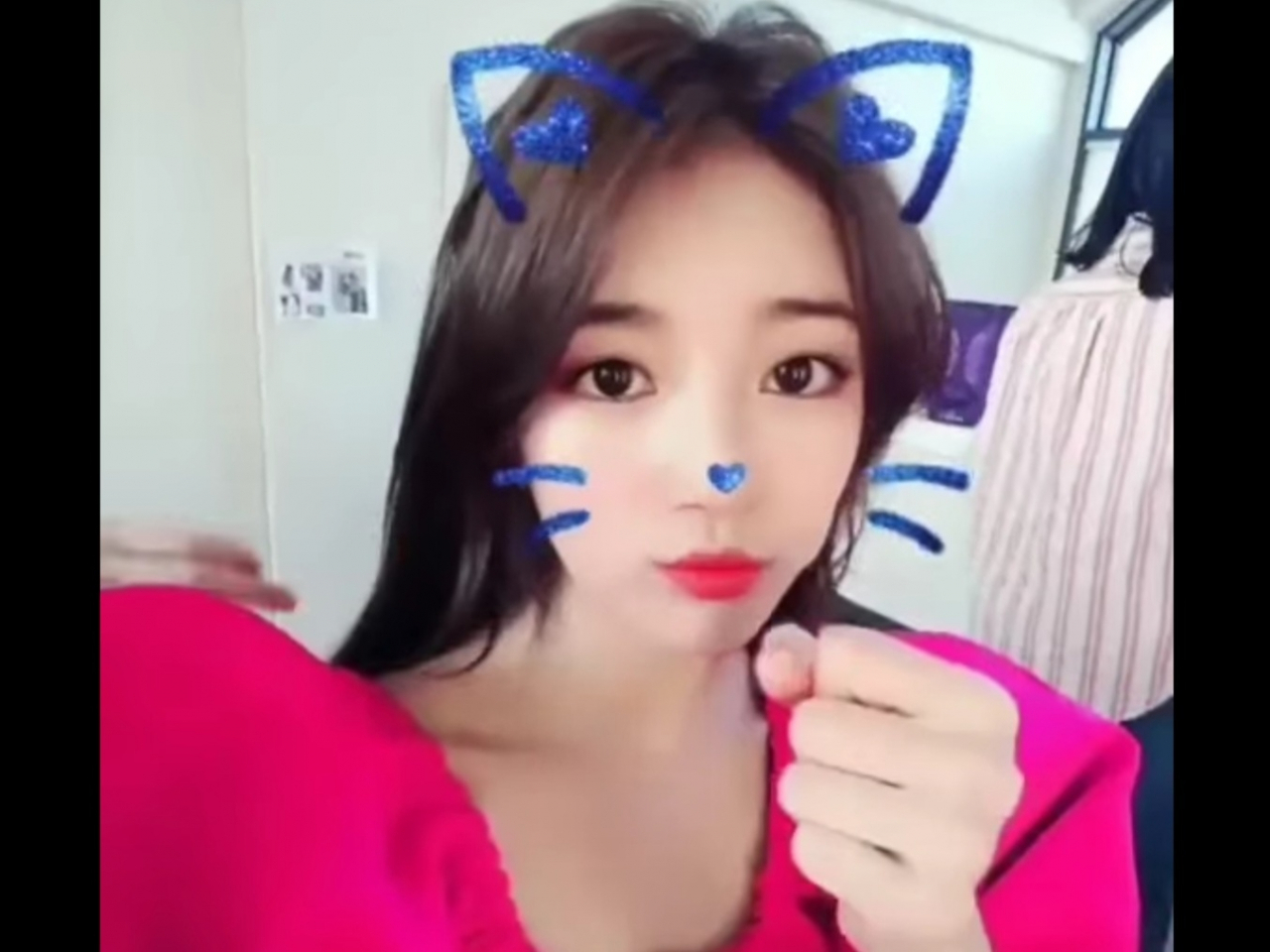 콰이를 사용하던 연예인 수지[출처 헤럴드DB]