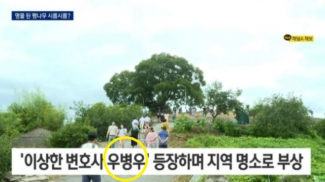 [채널A 뉴스 화면]