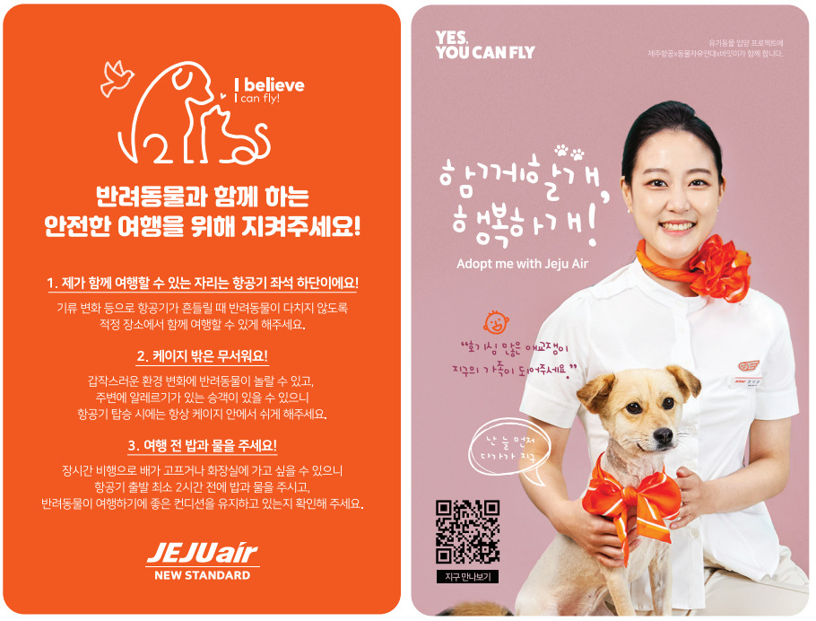[제주항공 제공]