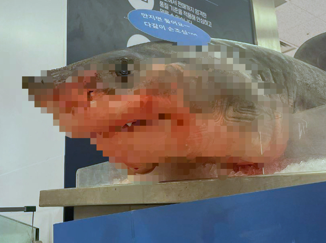 [온라인 커뮤니티]