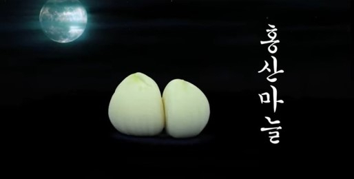 마늘 홍보 영상. [유튜브]