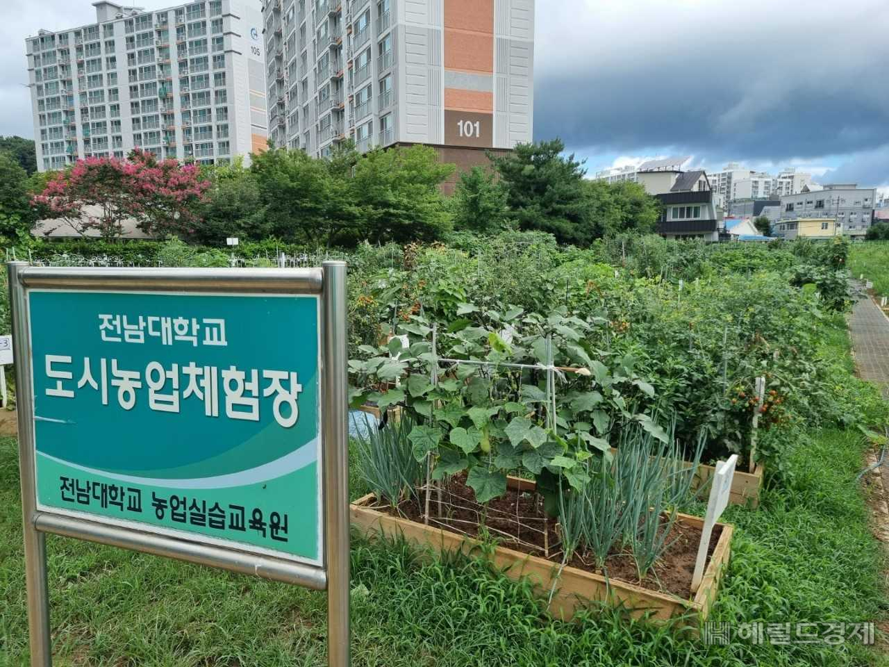 전남대 농업실습교육원