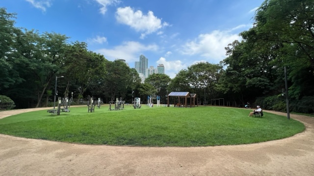 서울 강남구 도곡근린공원 원형잔디광장 모습. [강남구 제공]