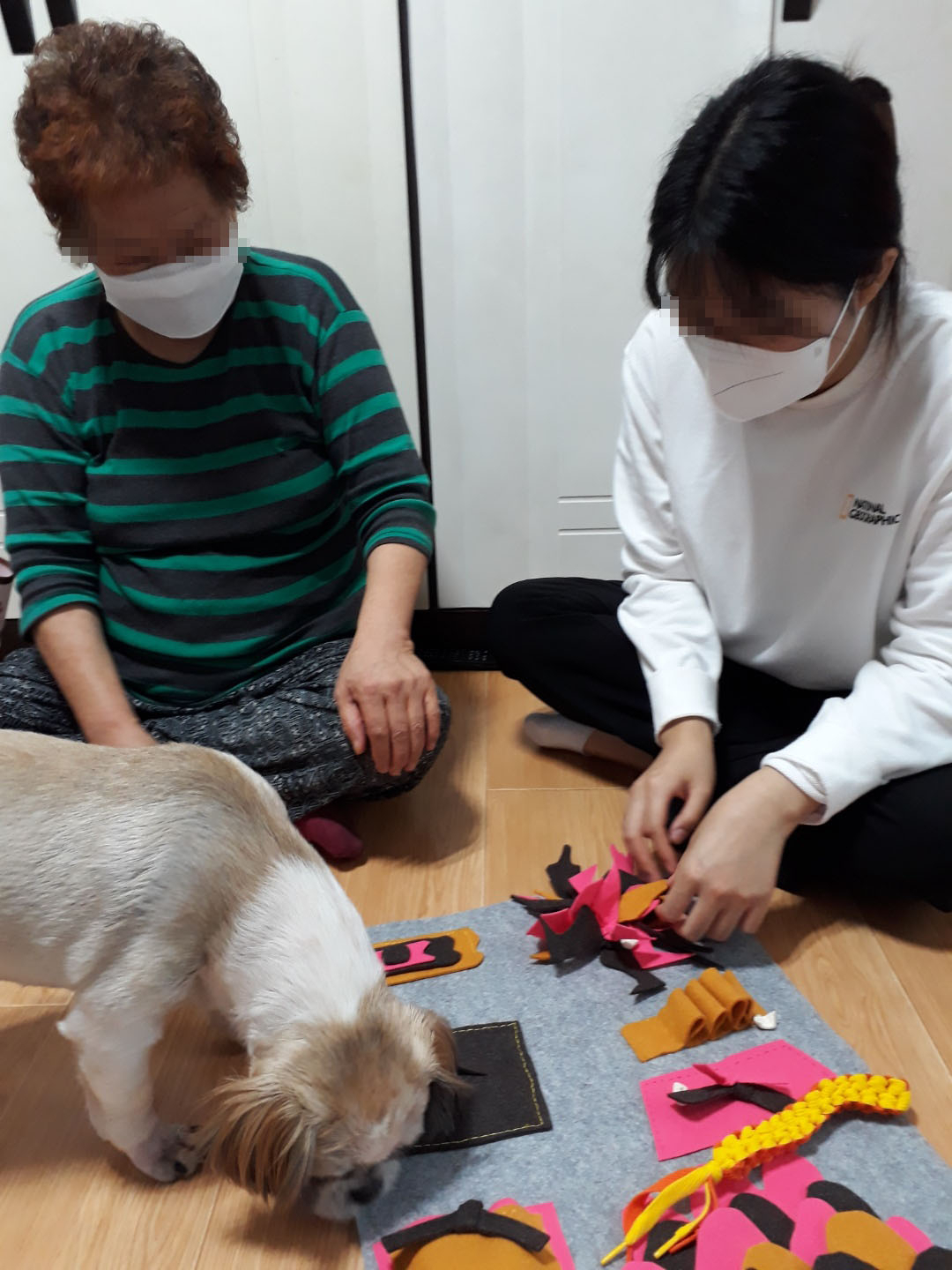 취약계층 가구의 반려동물이 노원구에서 제공한 노즈워크 놀이를 하고 있다. [노원구 제공]