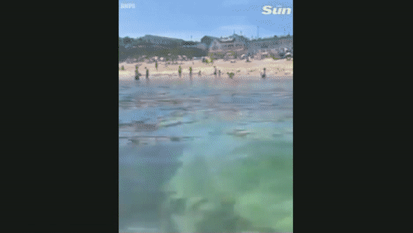 [The Sun 홈페이지 캡처]