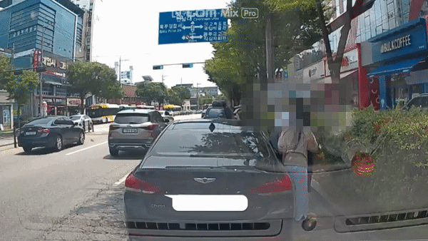 A씨가 공개한 블랙박스 영상. 차에서 내린 남녀가 화단에 쓰레기를 투척하는 모습. [온라인 커뮤니티]