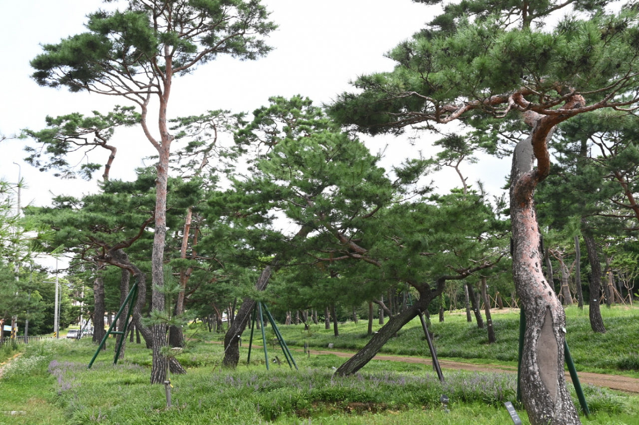 [수원시 제공]