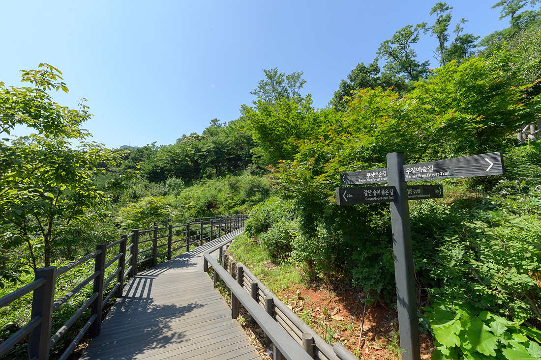 서울 양천구 갈산공원 무장애숲길 전경. [양천구 제공]