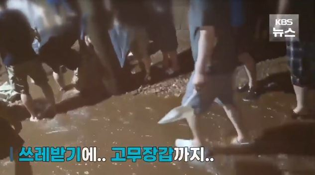[KBS 뉴스 방송화면 캡처]