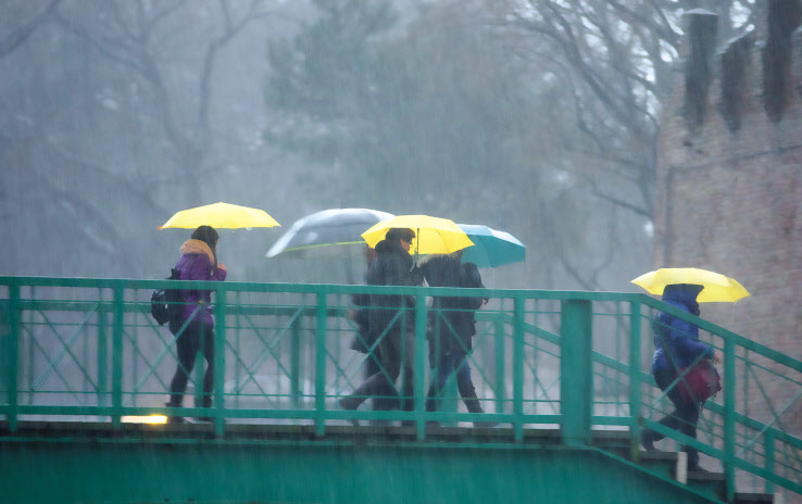 이번 폭우로 서울의 일 강수량과 시간당 강수량 모두 역대 최대 기록을 경신했다. 지난 월요일부터 내리기 시작한 비는 3일째 계속되고 있고 수도권과 충청권은 이번 주말까지 최대 350mm의 비가 더 내릴 전망이다. 역대급 장마로 건강관리에도 빨간불이 켜졌다. 각종 수인성 전염병이 기승을 부리기 쉽고, 일사량도 부족해 각종 세균이 증식하기 좋은 환경이 조성됐기 때문이다.