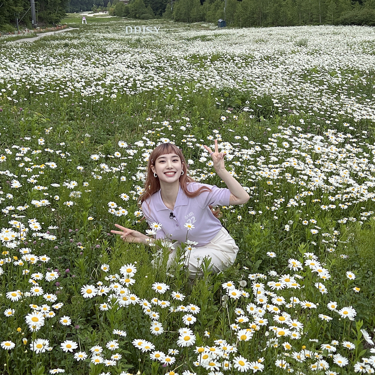 하이원 야생화투어 마케팅 과정에서 가상인간 루이도 참여했다.