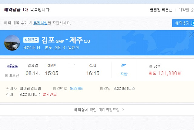 해당 비행기에 탑승했던 사람이라며 네티즌 A씨가 공개한 티켓 예매 내역. [온라인 커뮤니티]