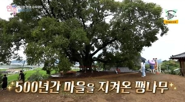 [KBS2 ‘연중 라이브’]