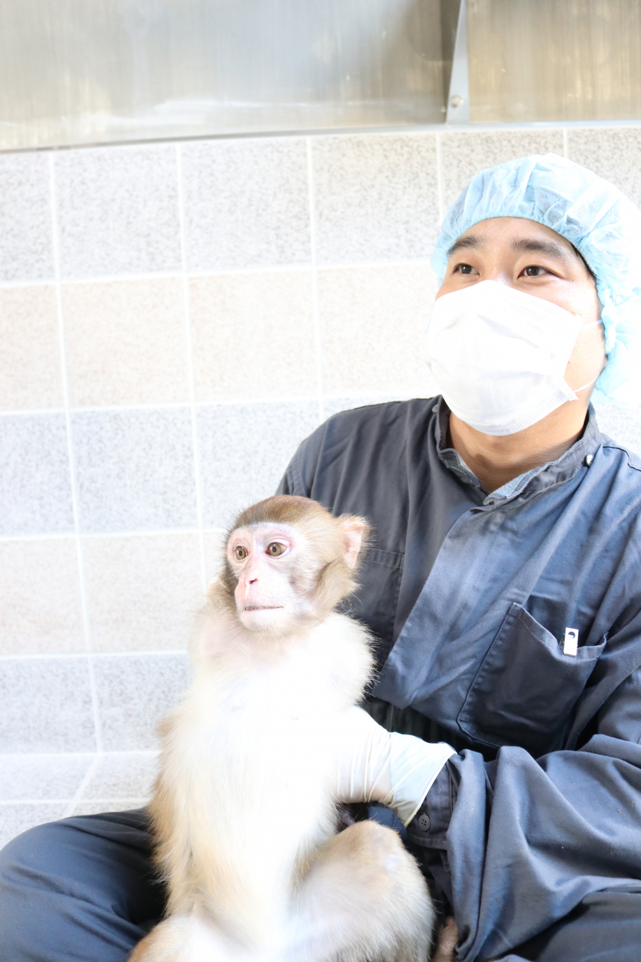 생명연 영장류자원지원센터 사육사가 붉은털원숭이를 안고 있다.[한국생명공학연구원 제공]